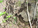 ntrada Ilice-20091230 007